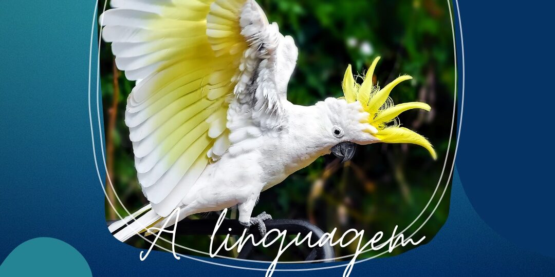 186518778_2888211064840411_7318325186284002329_n