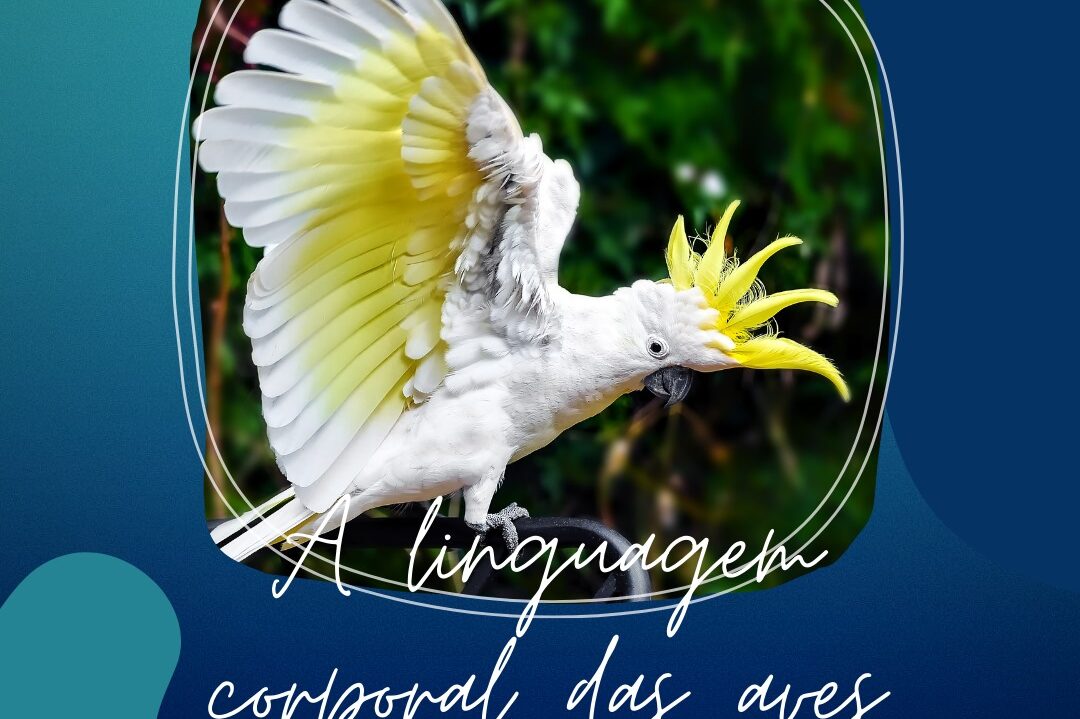 186518778_2888211064840411_7318325186284002329_n